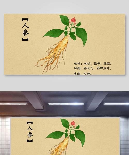 如何在游戏中节省草药费用（游戏玩家必看）